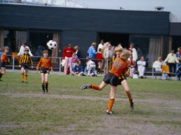 0DIA 1984 RAVA PUPS 1